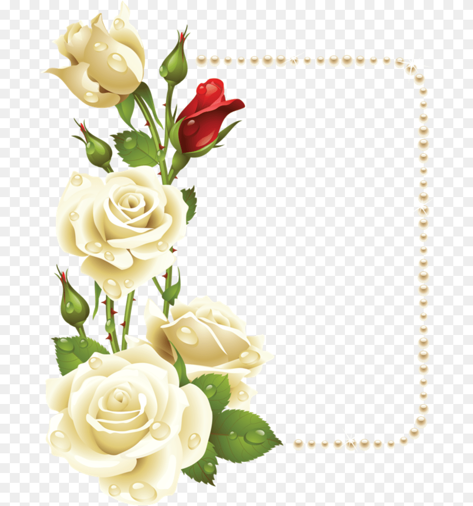 Floral Border Design White Roses Border, Rose, Flower, Flower Arrangement, Plant Free Png