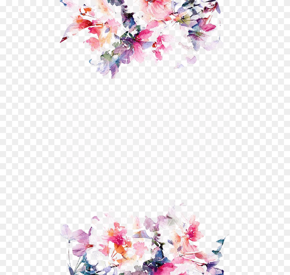 Floral Border White Background, Flower, Petal, Plant, Art Free Png
