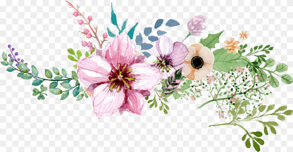 Floral Borders Flower Border, Anemone, Plant, Petal, Pattern Free Png Download