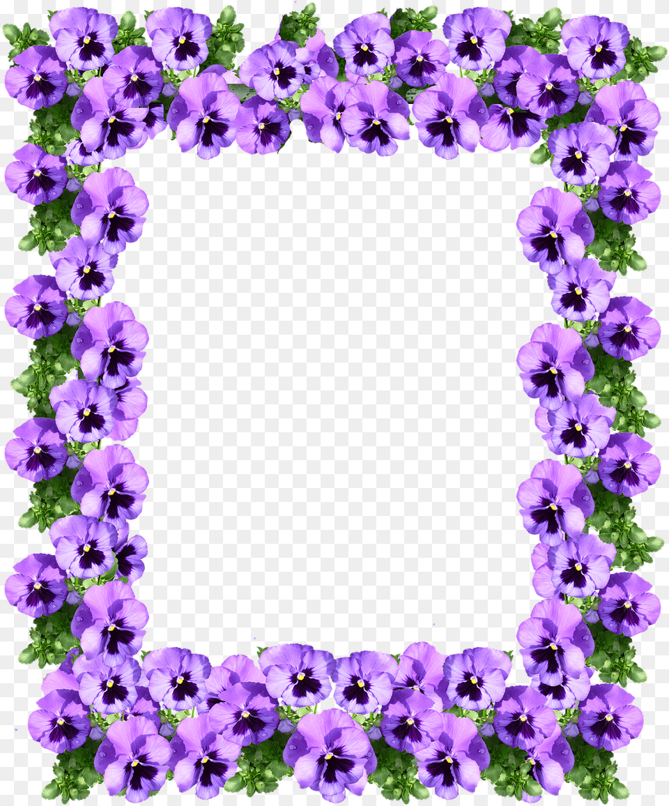 Floral Borders Flower Border Designs Purple, Geranium, Plant, Anemone Free Png