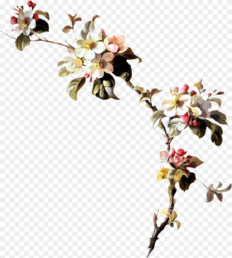 Floral Branches, Flower, Flower Arrangement, Petal, Plant Png