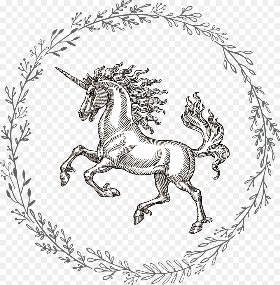 Floral Circle Hand Drawn, Animal, Horse, Mammal, Emblem Free Transparent Png