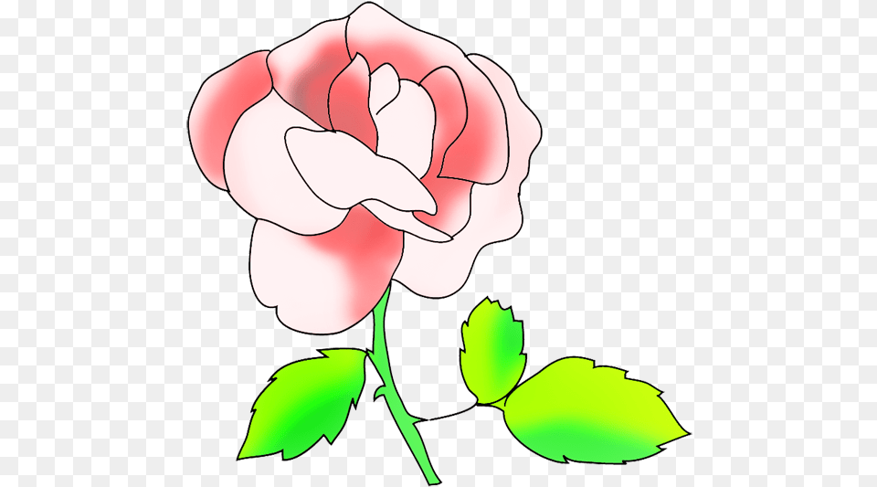 Floral Clip Art Pink Rose, Flower, Plant, Carnation, Geranium Free Png