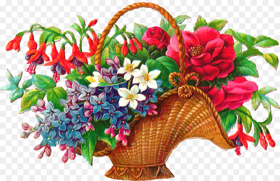 Floral Clipart Basket Transparent Welcome Flowers, Flower, Flower Arrangement, Flower Bouquet, Plant Free Png