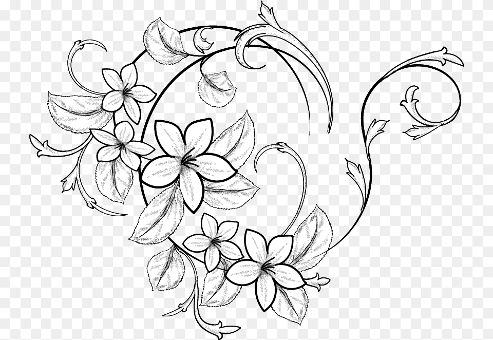 Floral Clipart Doodle Black And White Flowers Drawings, Art, Floral Design, Graphics, Pattern Png Image