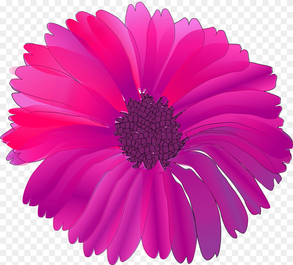 Floral Clipart Fuschia Pink Flower Clip Art, Dahlia, Daisy, Petal, Plant Free Png