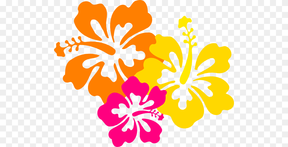Floral Clipart Hibiscus Flower Hibiscus Clip Art, Plant Free Png