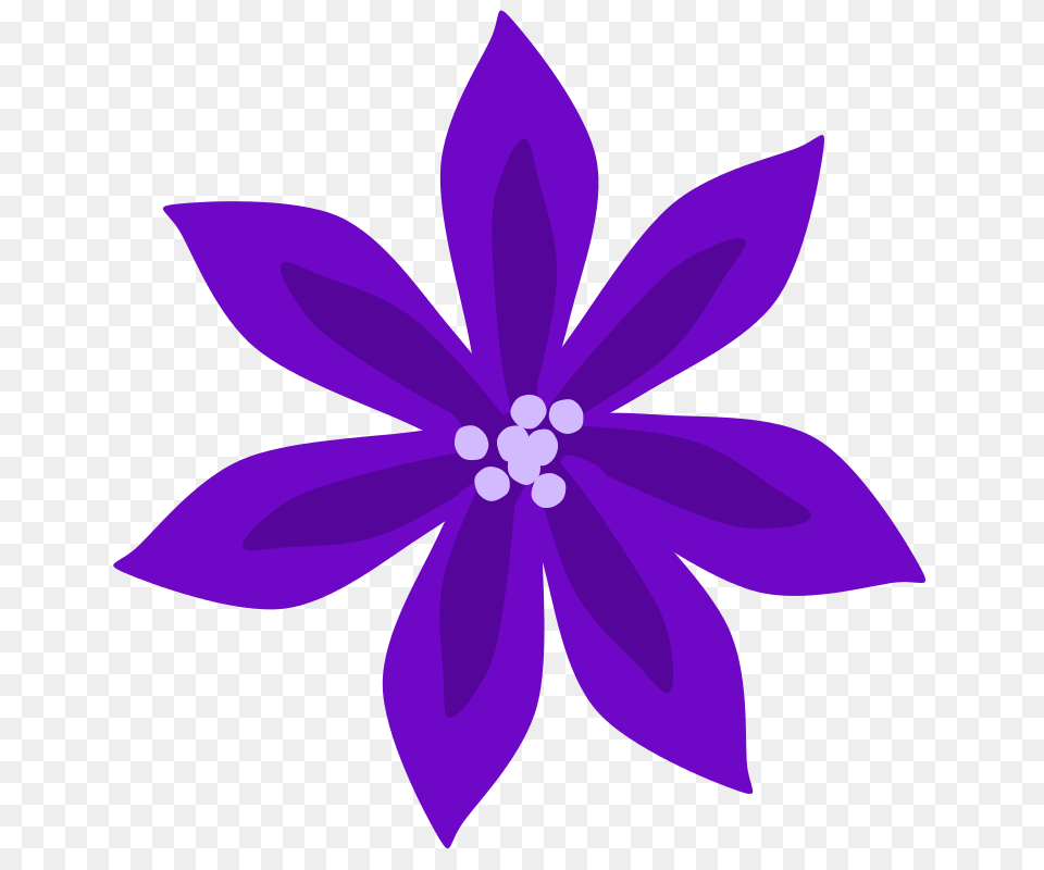 Floral Clipart Lily, Flower, Purple, Plant, Petal Png Image