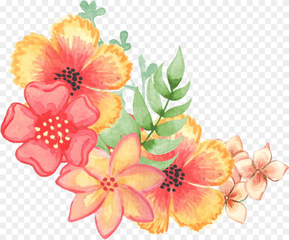 Floral Decoration Embellishment Watercolor Flowers Public Domain Watercolor Flowers, Flower, Plant, Hibiscus, Pattern Png