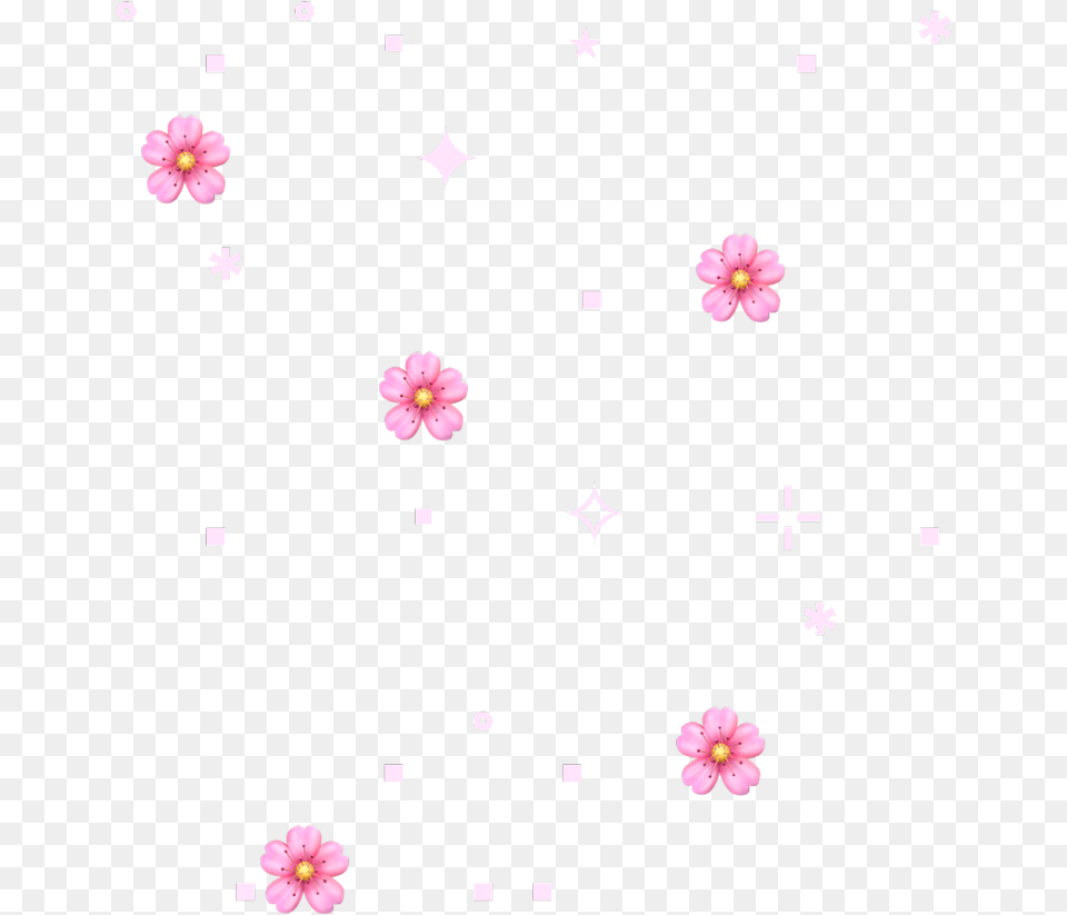 Floral Design, Flower, Petal, Plant, Nature Free Png