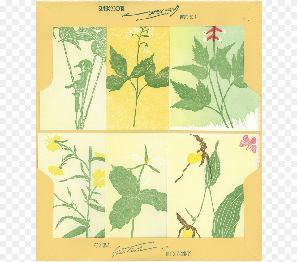 Floral Design, Leaf, Plant, Herbal, Herbs Png