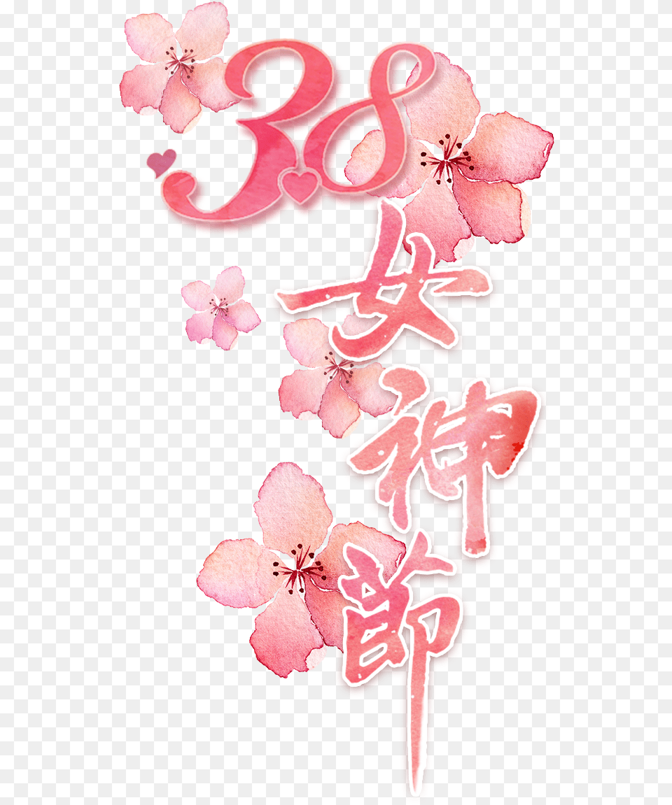 Floral Design, Flower, Plant, Petal, Cherry Blossom Free Png