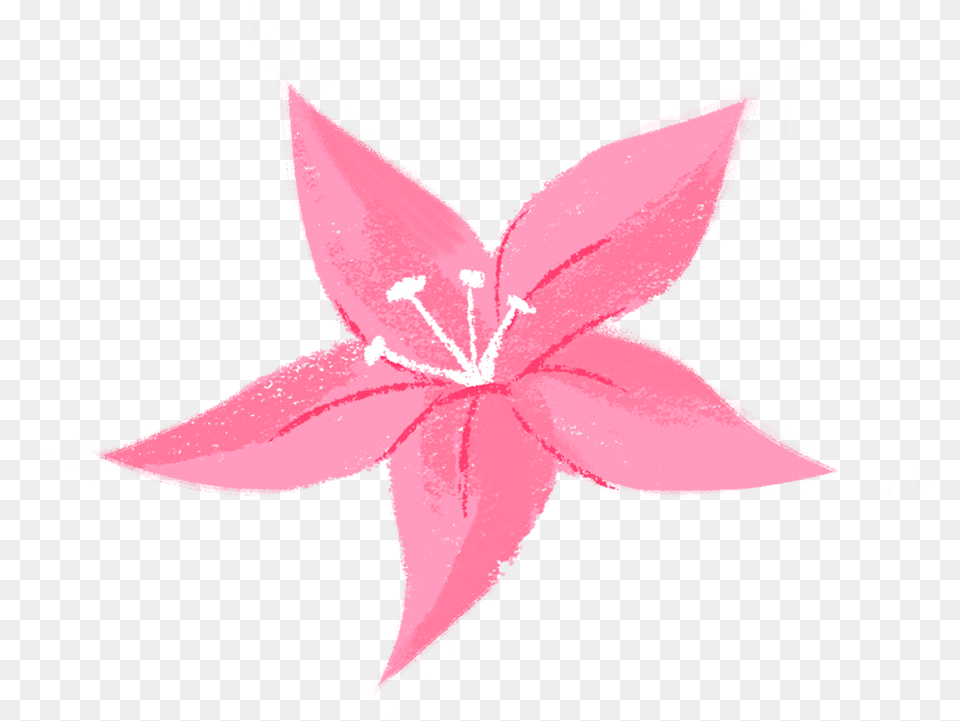 Floral Design, Anther, Flower, Plant, Petal Free Transparent Png