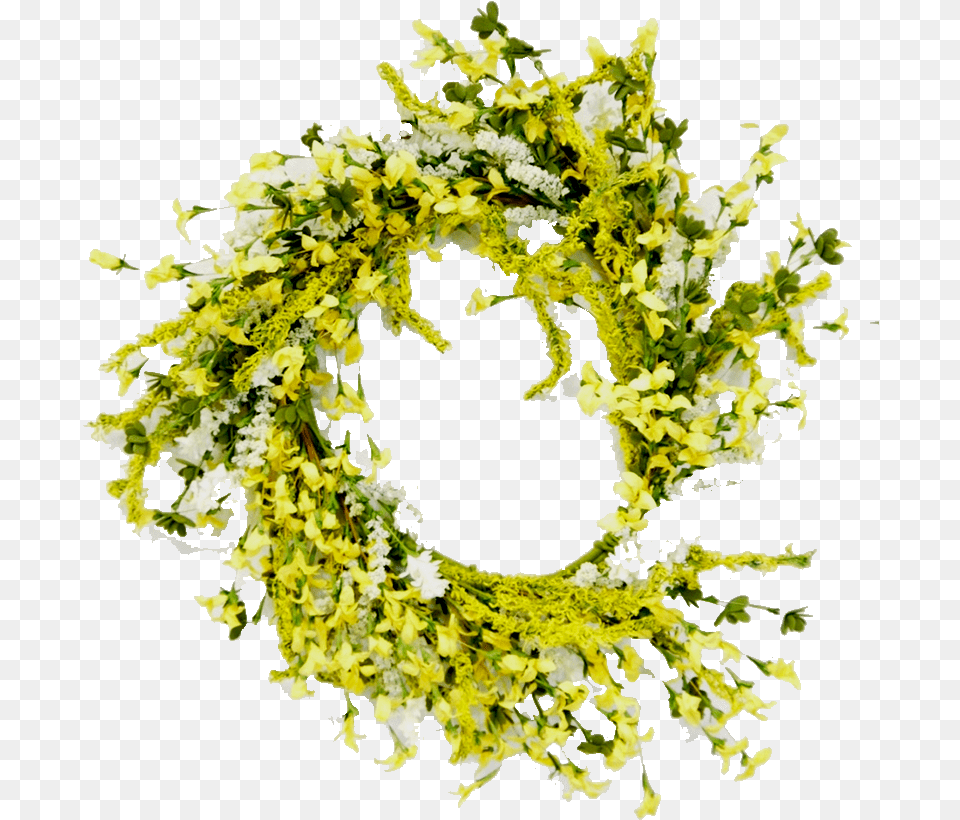 Floral Design, Plant, Wreath Free Png Download