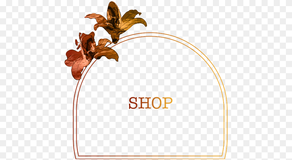 Floral Design, Leaf, Plant, Flower Free Png