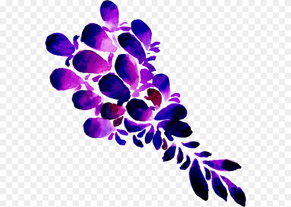 Floral Design, Purple, Flower, Plant, Art Free Png