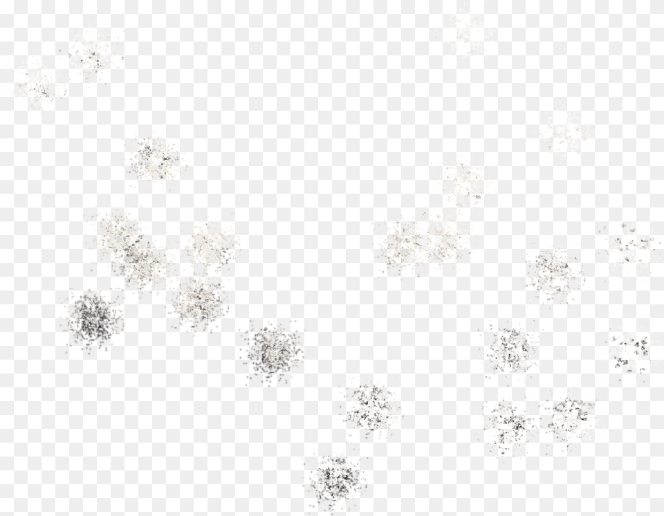 Floral Design, Food Png Image
