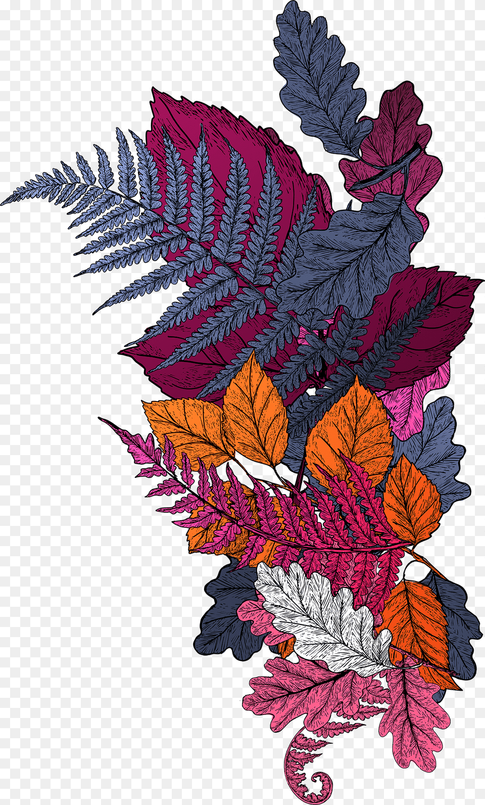 Floral Design, Embroidery, Leaf, Pattern, Plant Free Png