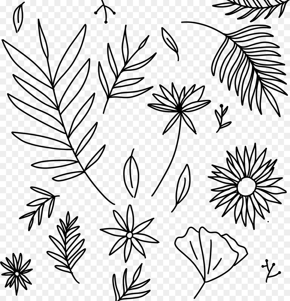 Floral Design, Lighting Png