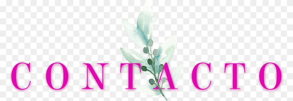 Floral Design, Leaf, Plant, Herbal, Herbs Free Png