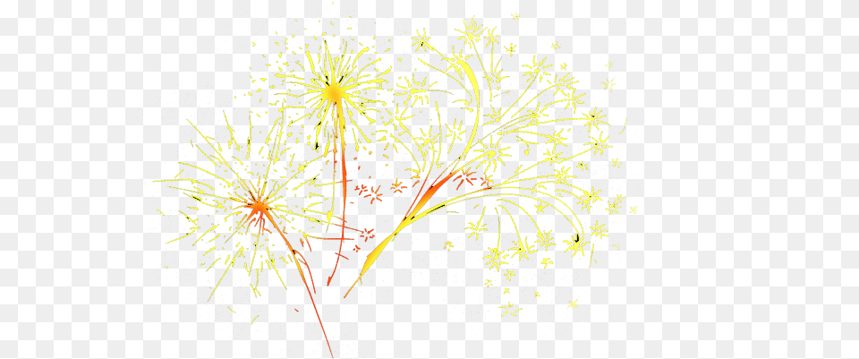 Floral Design, Fireworks, Pattern, Plant Png