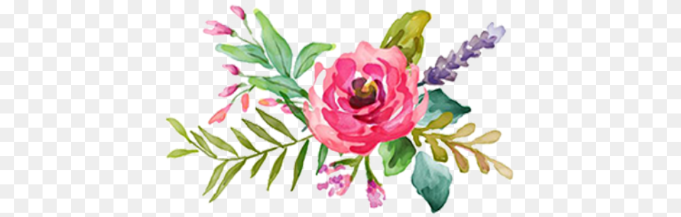 Floral Design A Beautiful Theme New Mexico Wedding Vector Pink Watercolor Flowers, Art, Floral Design, Graphics, Pattern Png