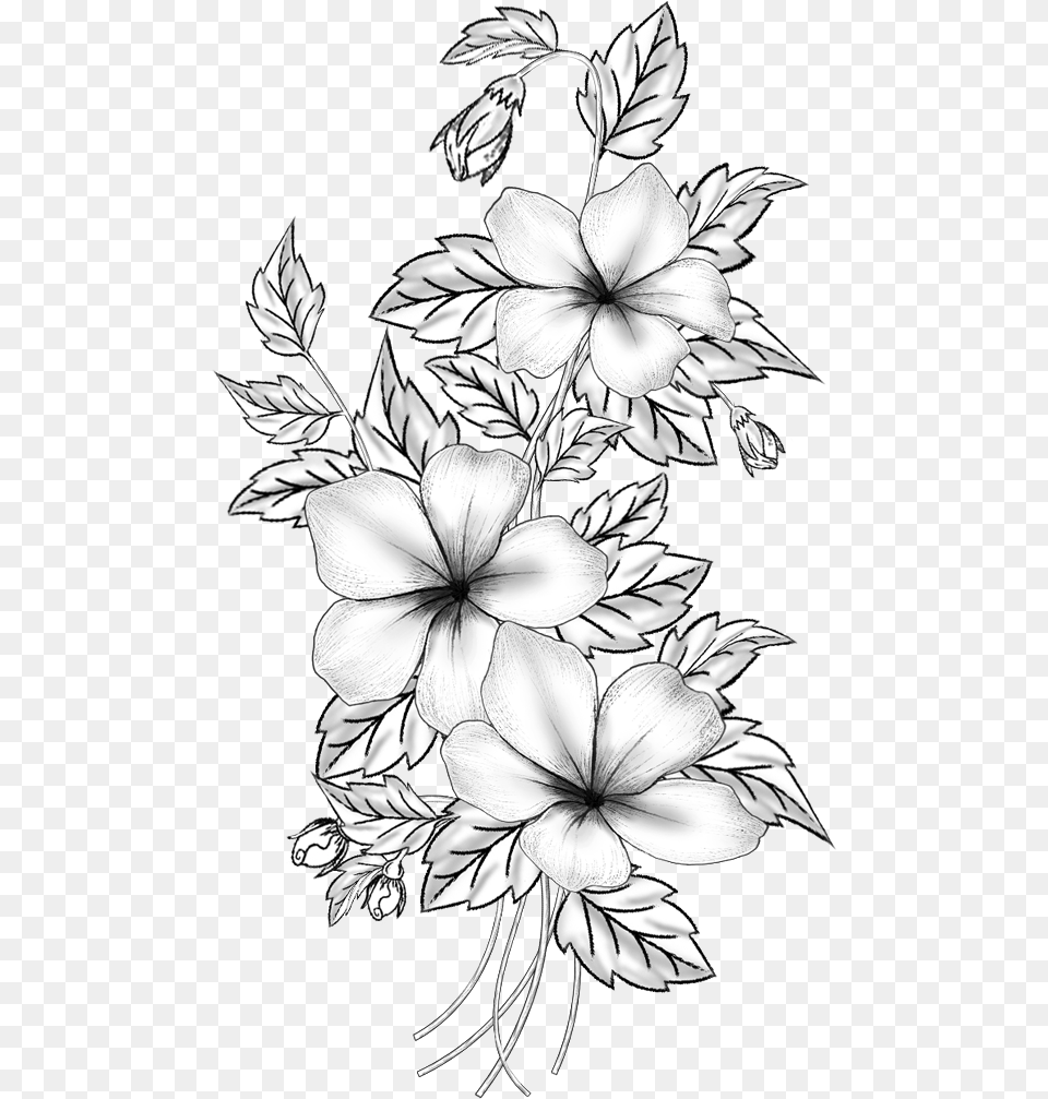 Floral Design Cut Flowers Drawing Border Design For Sketches, Art, Floral Design, Graphics, Pattern Png Image