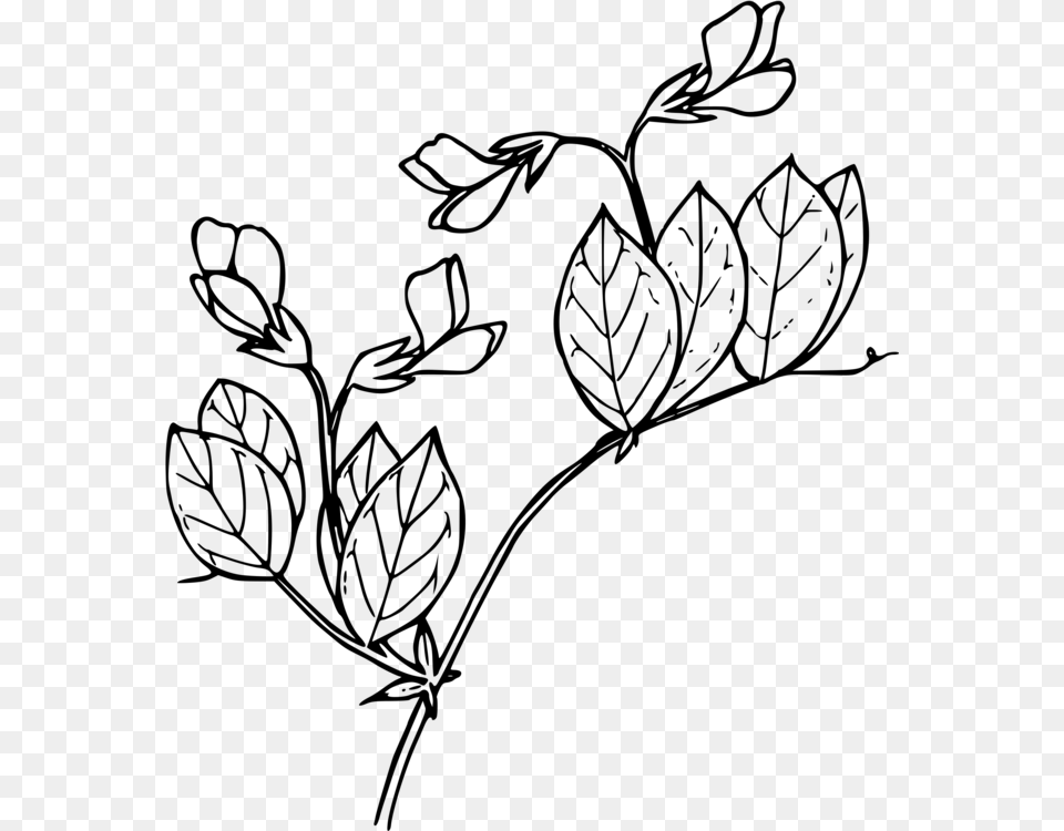 Floral Design Drawing Line Art Visual Arts Black And White Free, Gray Png Image