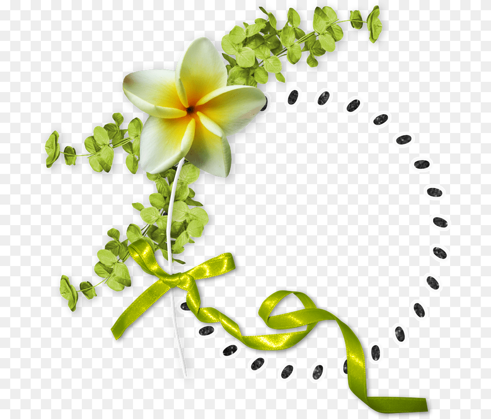 Floral Design Flower Flower, Leaf, Plant, Petal, Pattern Png Image