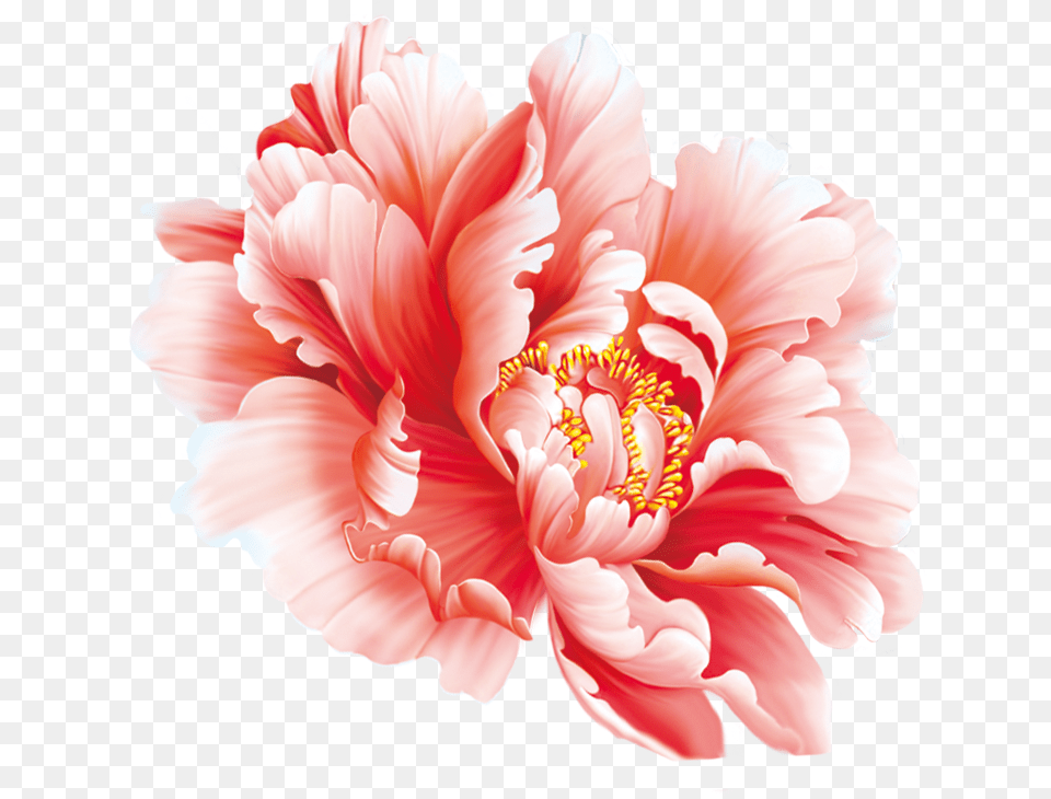 Floral Design Flower Painting In Peony Chinese Peony Chinese Painting, Dahlia, Plant, Carnation, Petal Free Transparent Png
