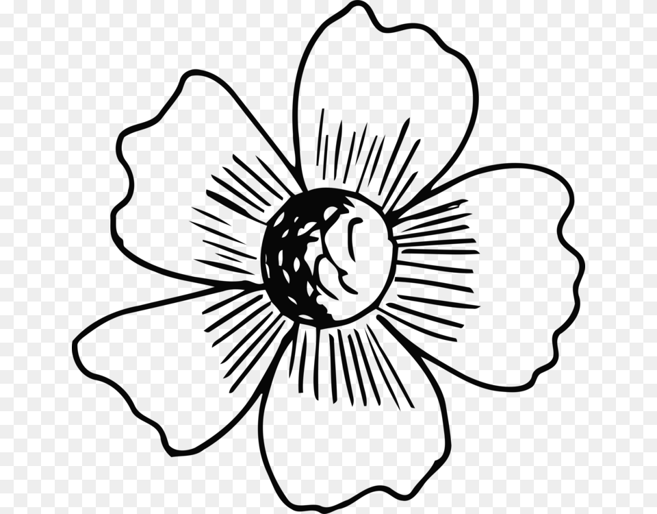 Floral Design Line Art Flower Monochrome Black And Easy To Cut Flower Drawing, Anemone, Plant, Petal Free Png Download