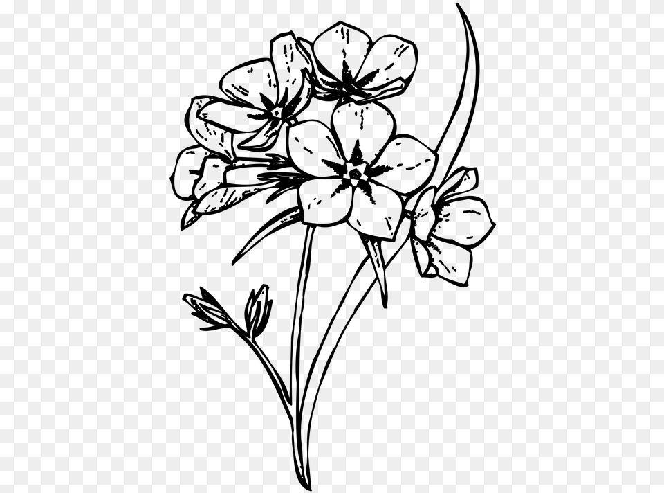 Floral Design M02csf Cut Flowers Drawing Flower Drawing No Background, Gray Free Png