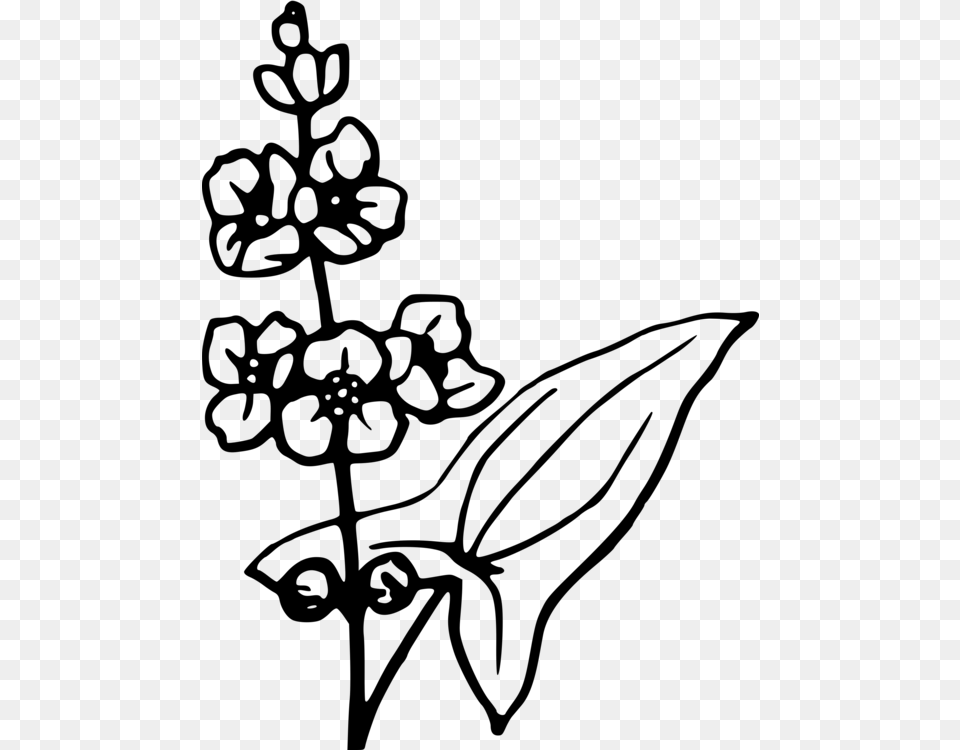 Floral Design Visual Arts Leaf Monochrome, Gray Png Image