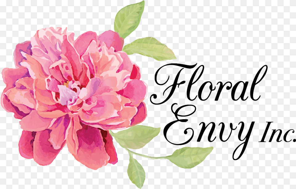 Floral Envy Ottawa Flower U0026 Gift Basket Delivery Florals, Plant, Petal, Rose, Geranium Free Png Download
