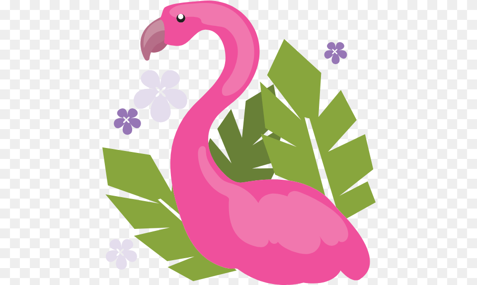 Floral Flamingo Graphic Clip Art Picmonkey Graphics Lovely, Animal, Bird, Baby, Person Free Png