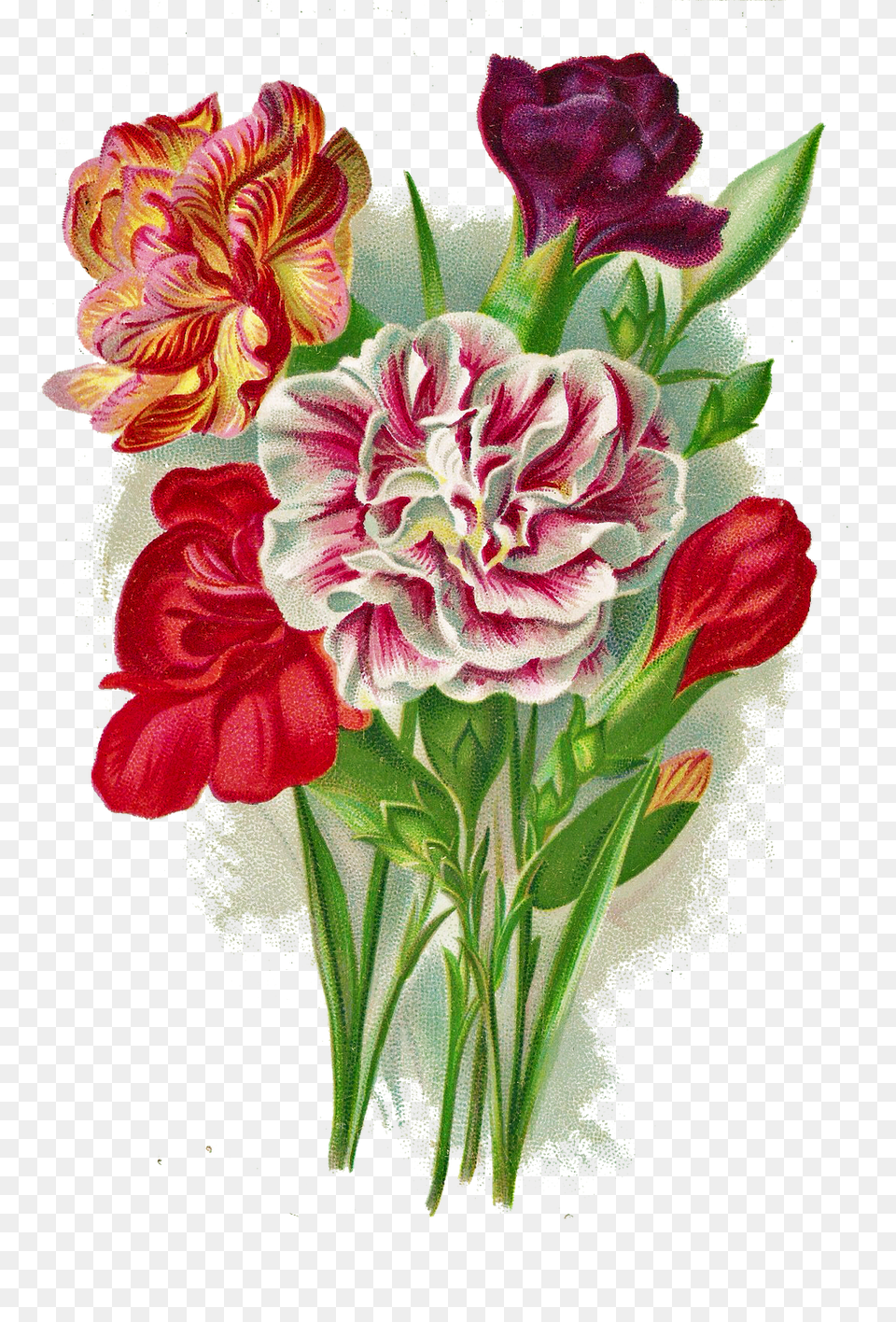 Floral Flower Art, Plant, Graphics, Flower Bouquet, Flower Arrangement Free Transparent Png