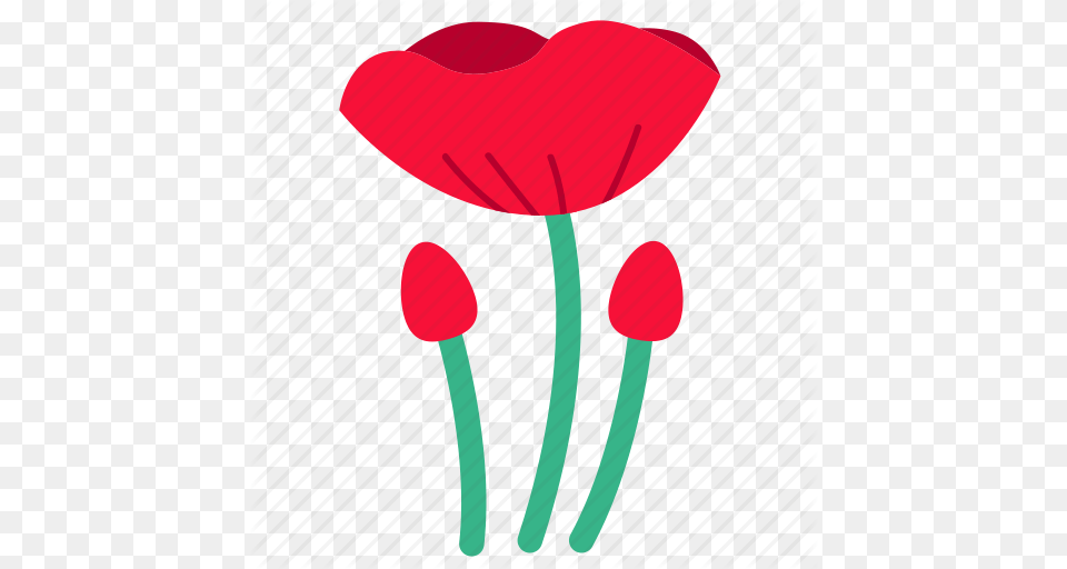 Floral Flower Flowers Opium Poppy Red Wildflower Icon, Petal, Plant, Ping Pong, Ping Pong Paddle Png