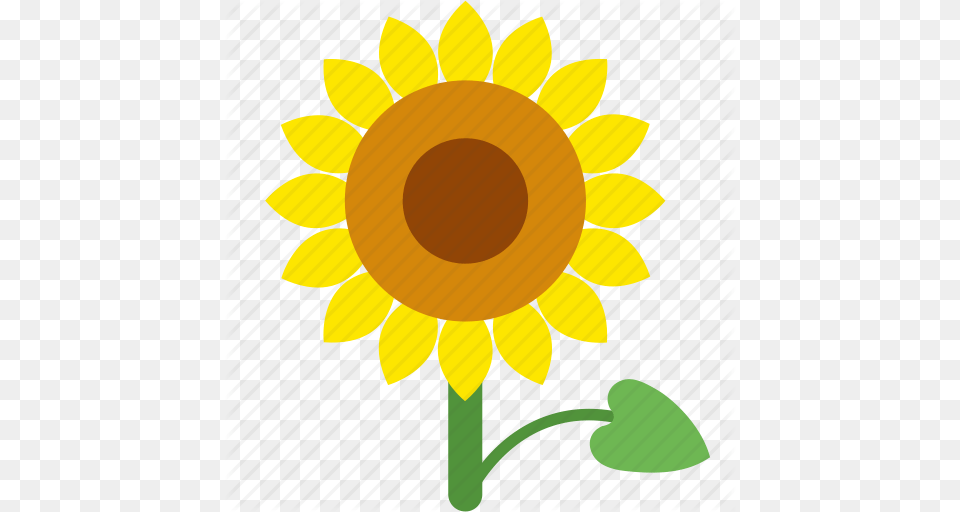 Floral Flower Garden Seed Sun Sunflower Icon, Plant Free Png