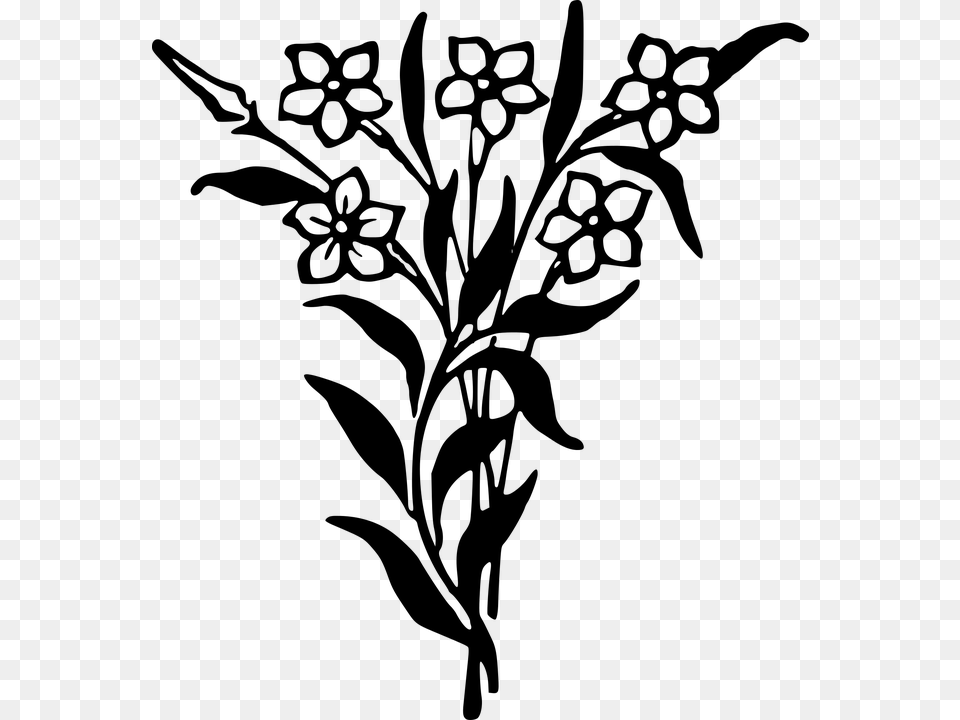 Floral Flower Plant Black And White Flowers Bunch, Gray Free Png Download
