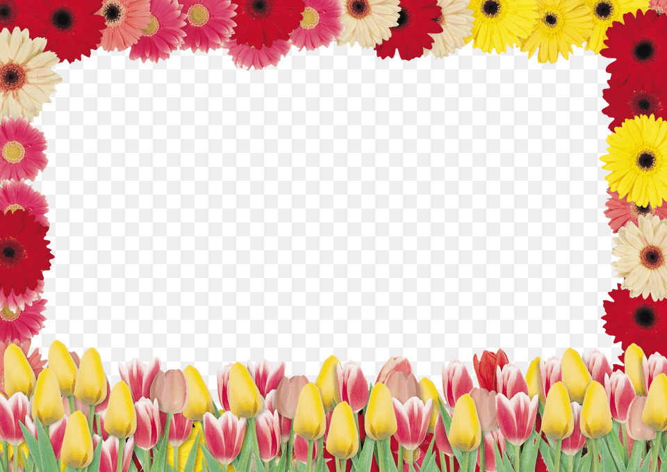 Floral Frame Png