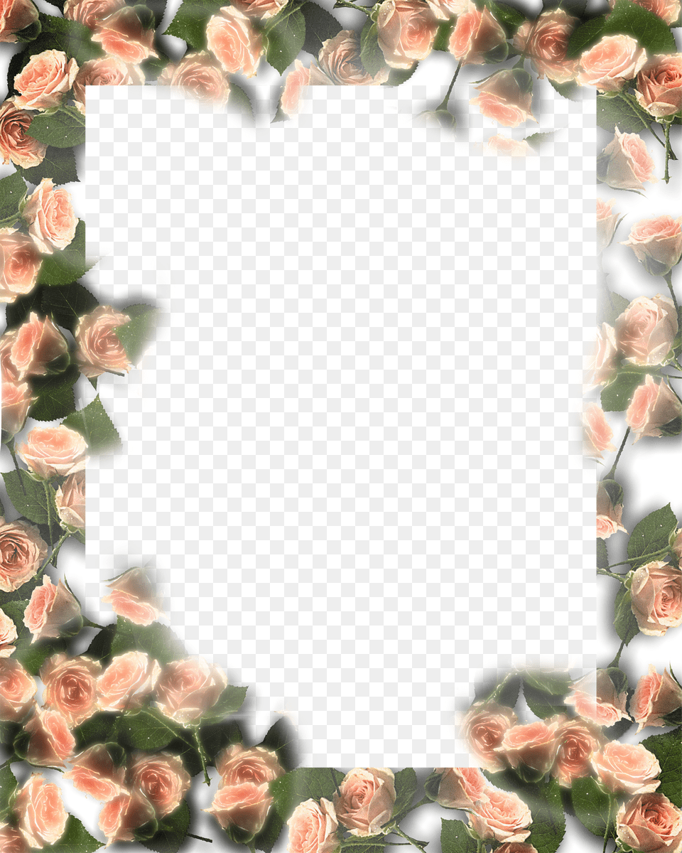 Floral Frame, Art, Collage, Flower, Petal Free Transparent Png