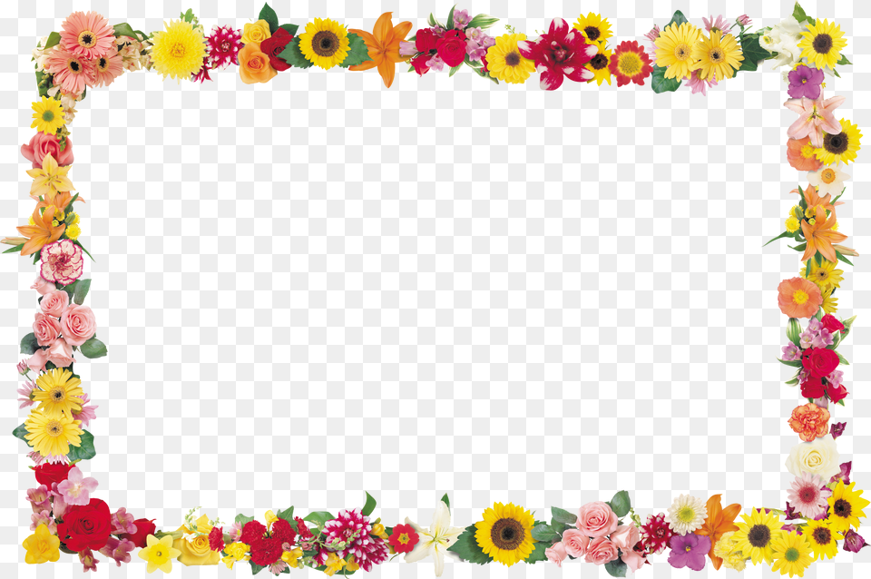 Floral Frame, Art, Petal, Pattern, Graphics Free Png