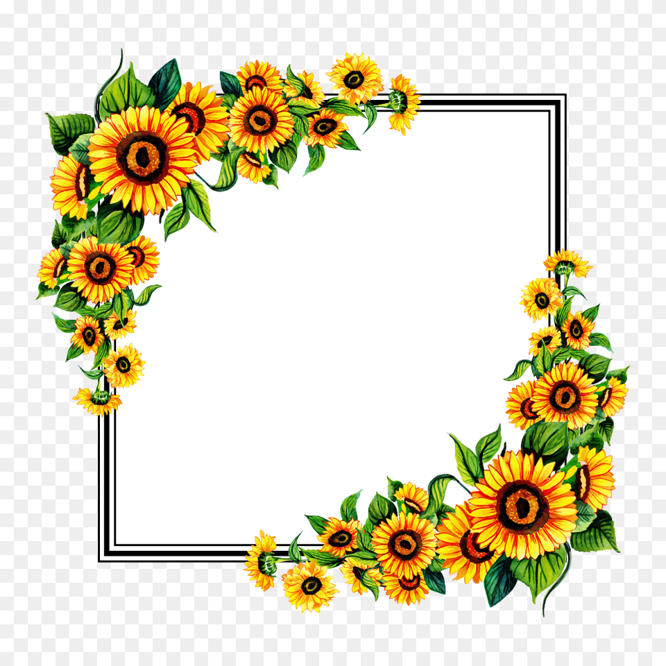 Floral Frame, Flower, Plant, Sunflower, Pattern Free Transparent Png