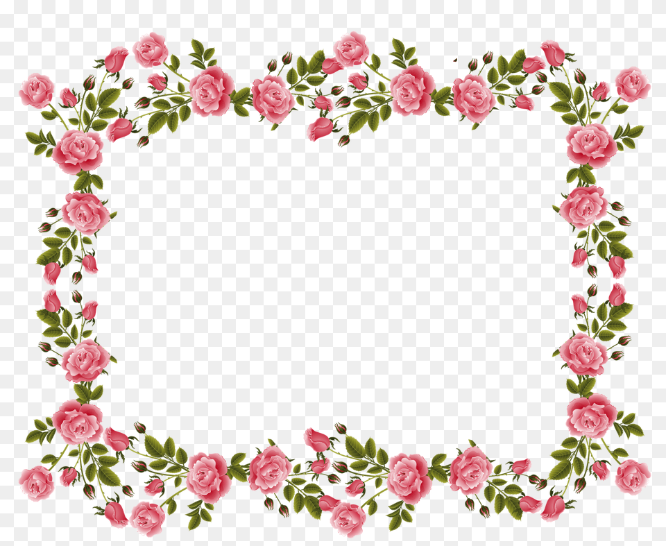 Floral Frame, Rose, Plant, Flower, Pattern Png