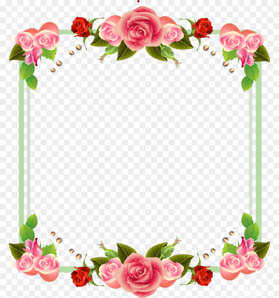 Floral Frame, Rose, Plant, Flower, Floral Design Free Transparent Png
