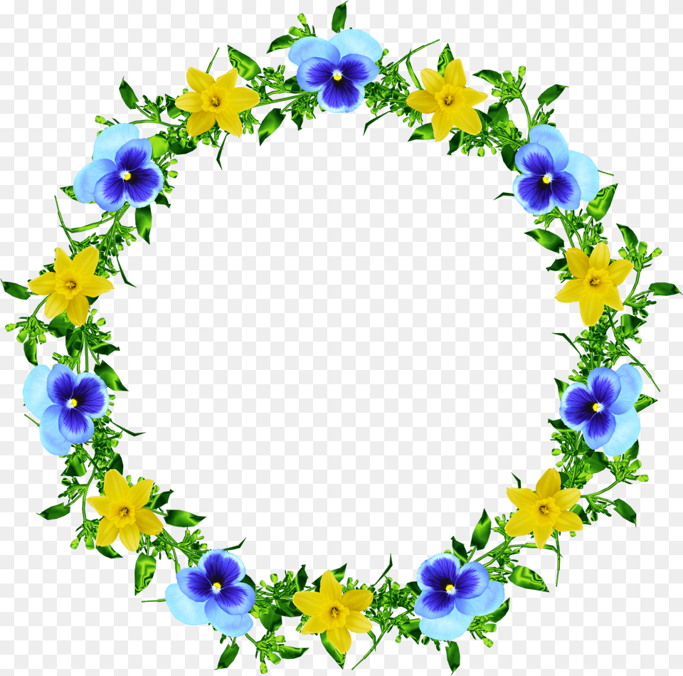 Floral Frame, Anemone, Flower, Plant Free Transparent Png