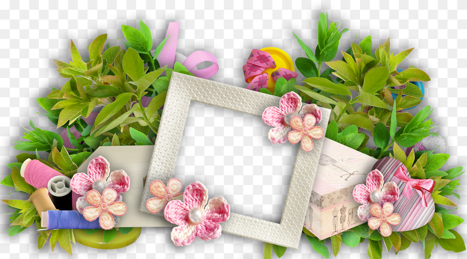 Floral Frame, Baby, Person, Game, Super Mario Free Png