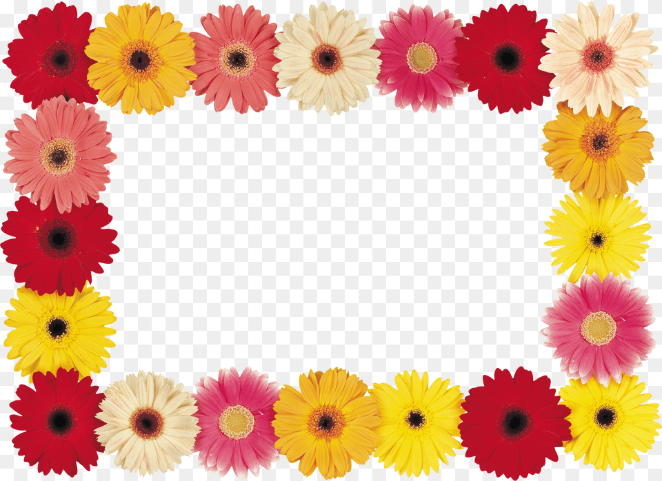 Floral Frame Free Png Download