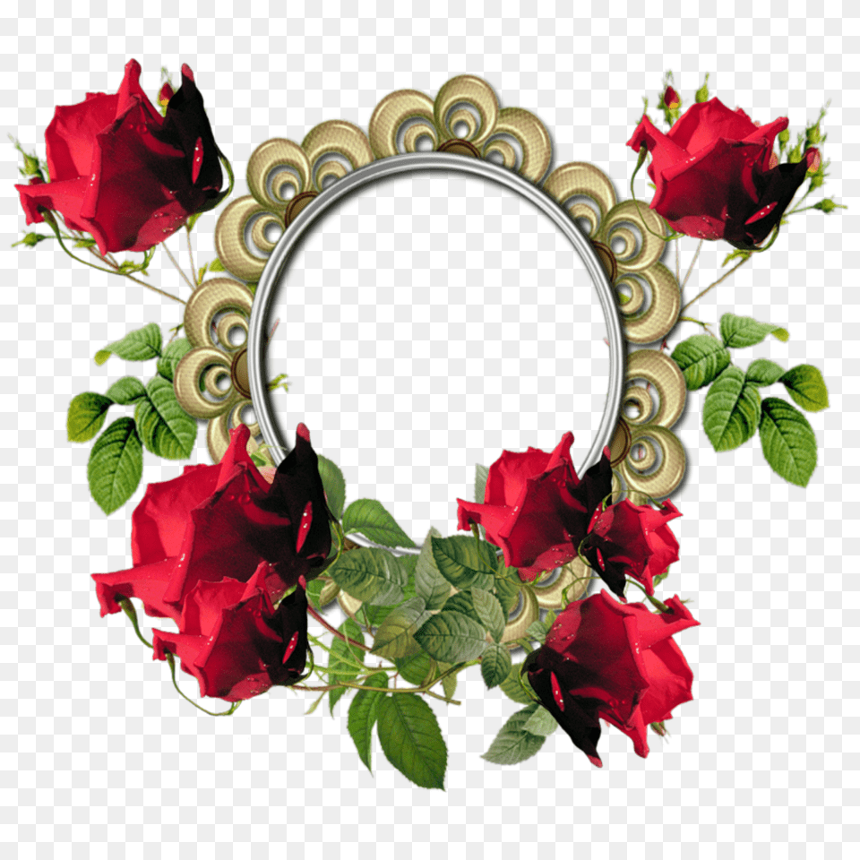 Floral Frame, Flower, Plant, Rose, Geranium Free Png Download