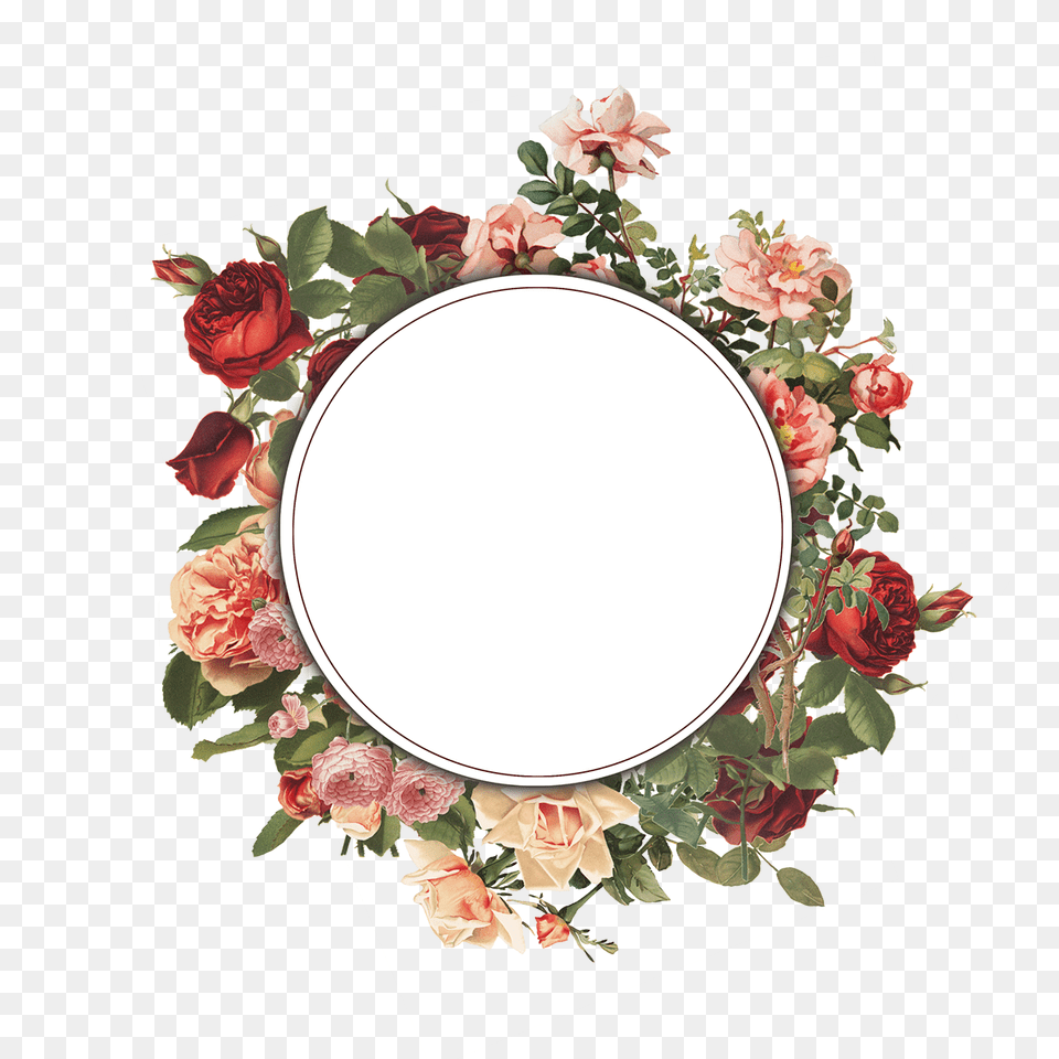 Floral Frame, Flower, Plant, Rose, Photography Free Png Download
